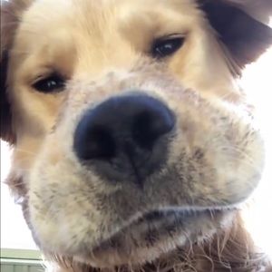 Meet your Posher, Nikole